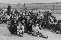 La persecuzione di Rom e Sinti sotto i regimi nazifascisti
